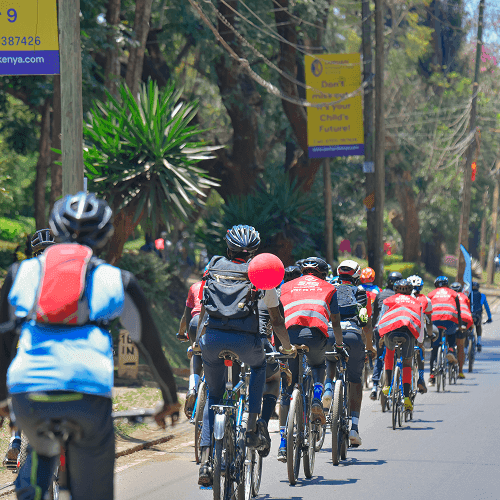 Bike hire from Spin & Gears